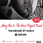 Amy Lee & The Loco Project